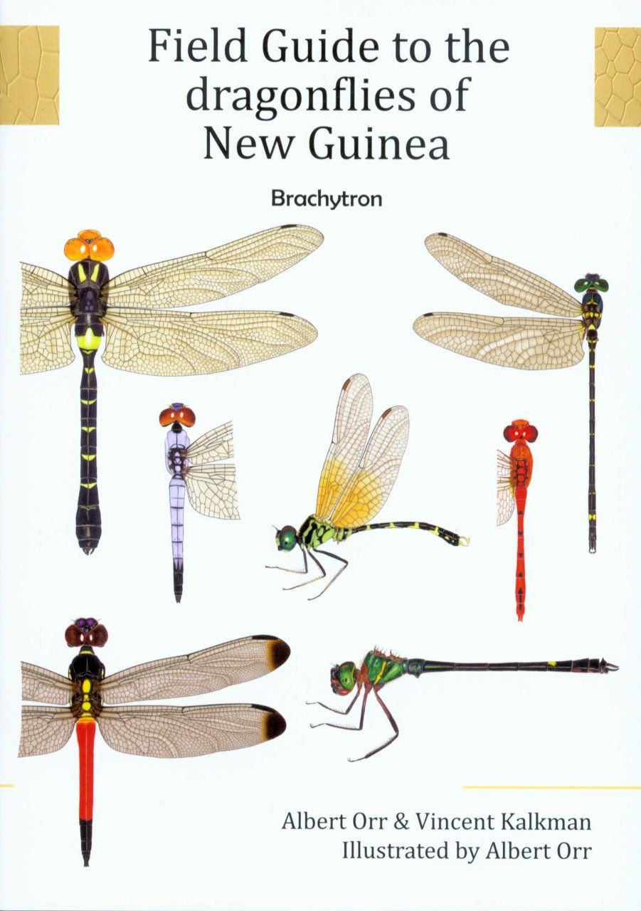 Field Guide to the Dragonflies of New Guinea / Buku Panduan Lapangan Capung Jarum untuk Wilayah New Guinea