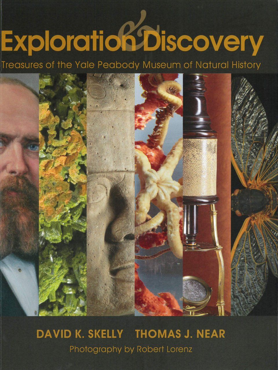 Exploration &amp; Discovery