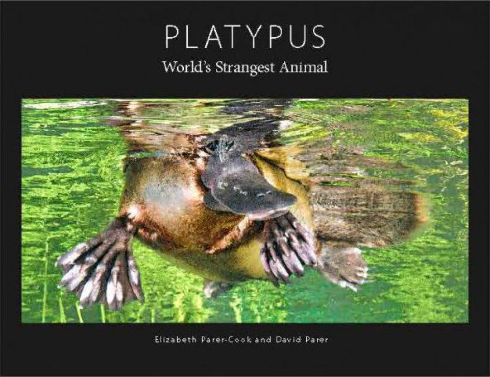 Platypus: World&#039;s Strangest Animal