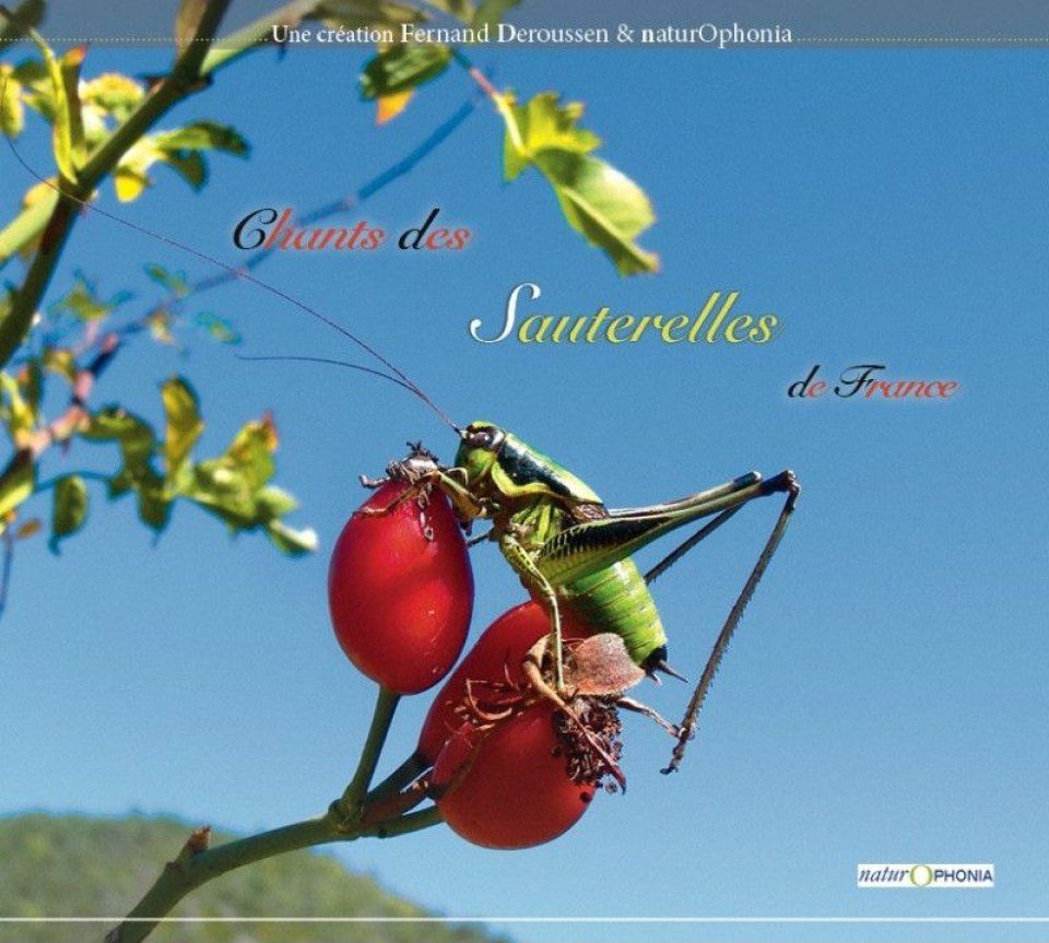 Chants des Sauterelles de France [Calls of the Locusts of France]