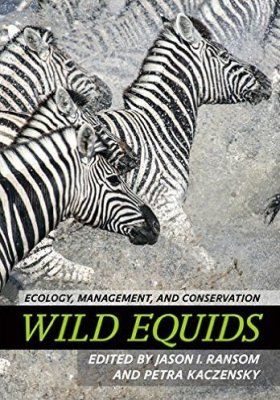 Wild Equids