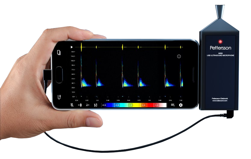 Pettersson M500-384 USB Ultrasound Microphone