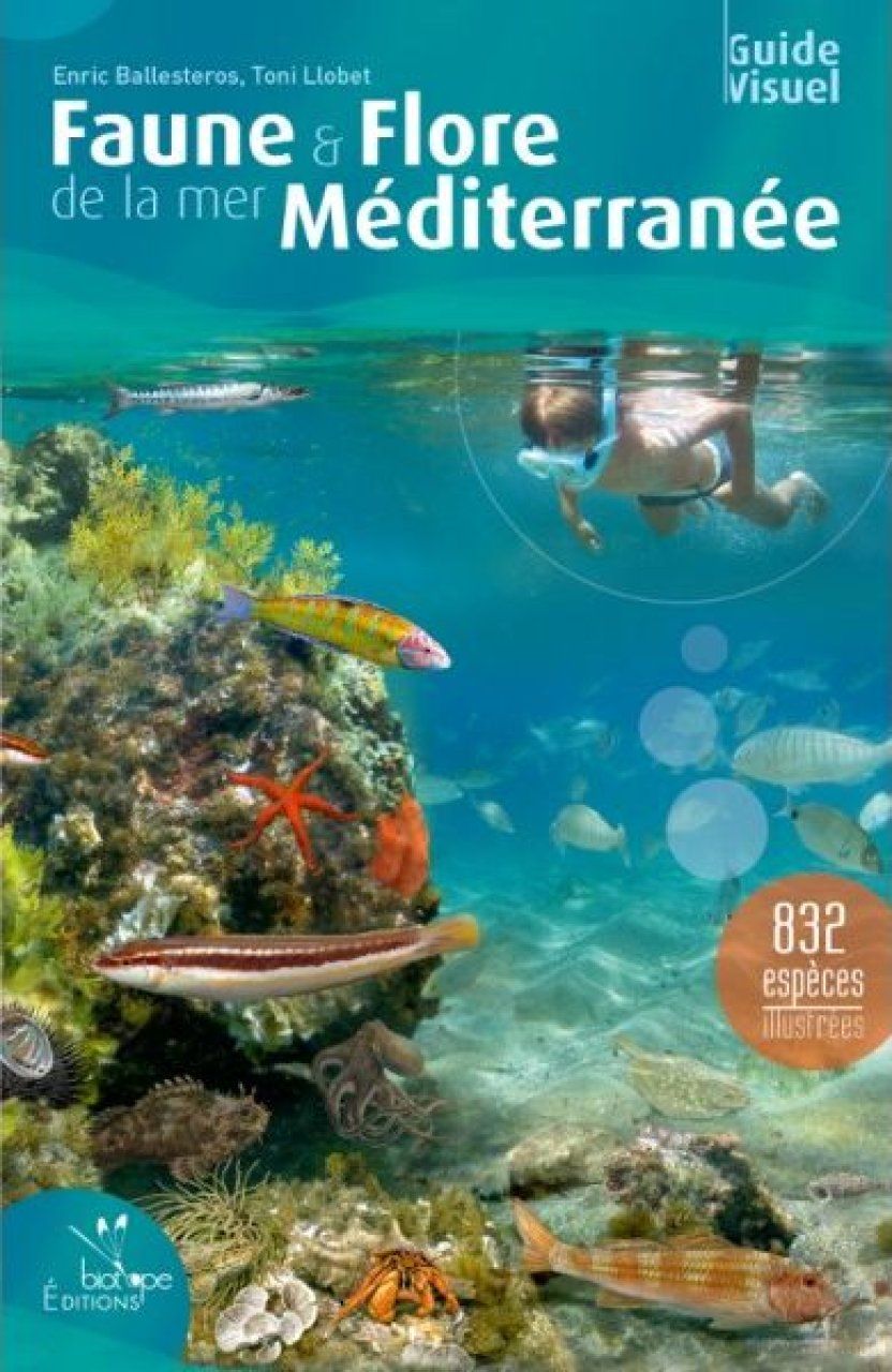 Faune &amp; Flore de la Mer Méditerranée: Guide Visuel [Marine Wildlife of the Mediterranean]
