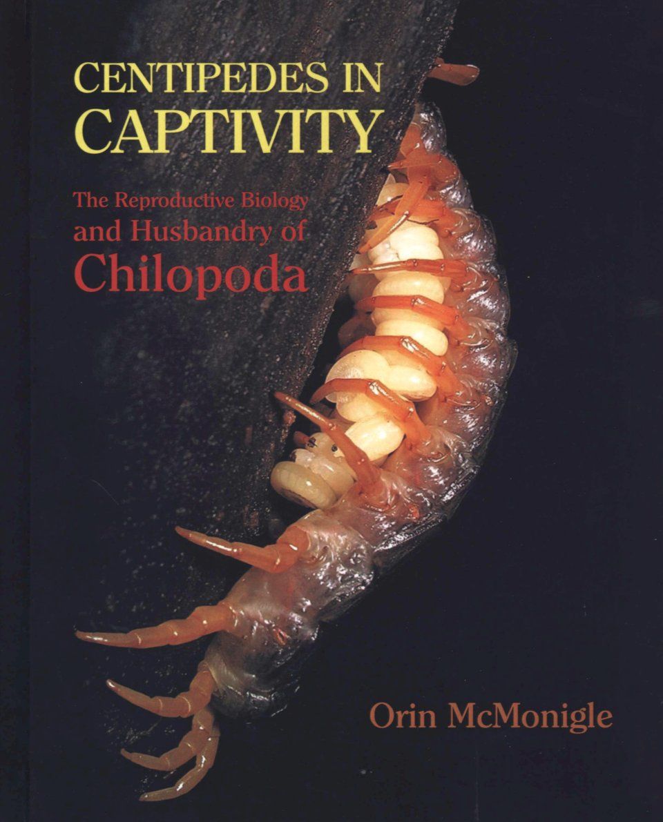 Centipedes in Captivity