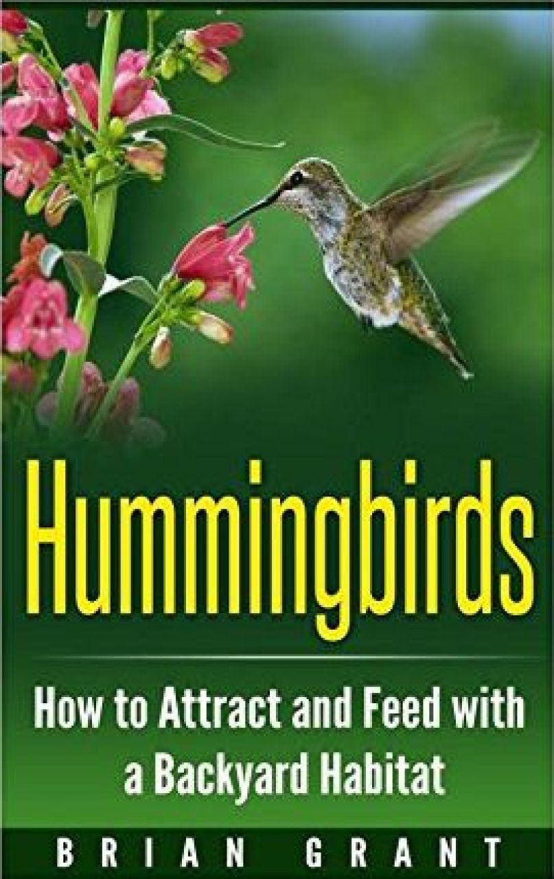 Hummingbirds: How to Attract and Feed with a Backyard Habitat