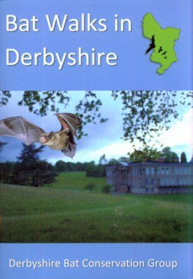 Bat Walks in Derbyshire