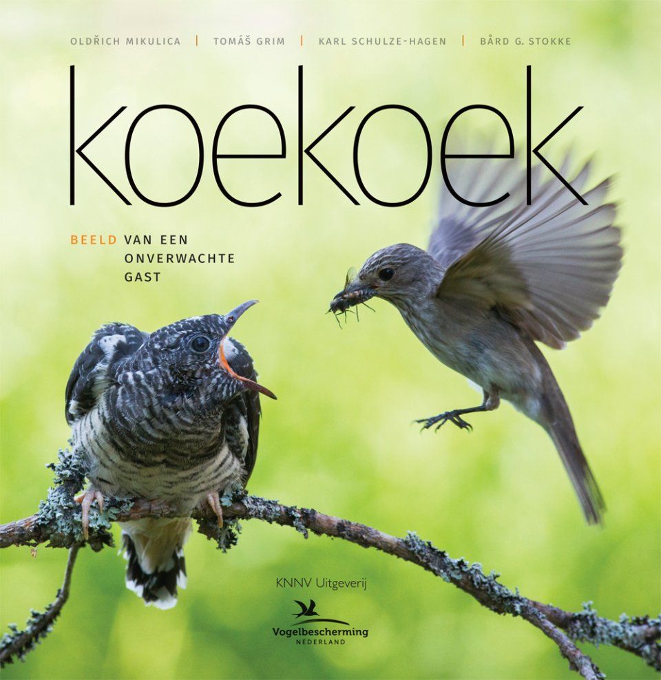 Koekoek: Beeld van een Onverwachte Gast [The Cuckoo: The Uninvited Guest]