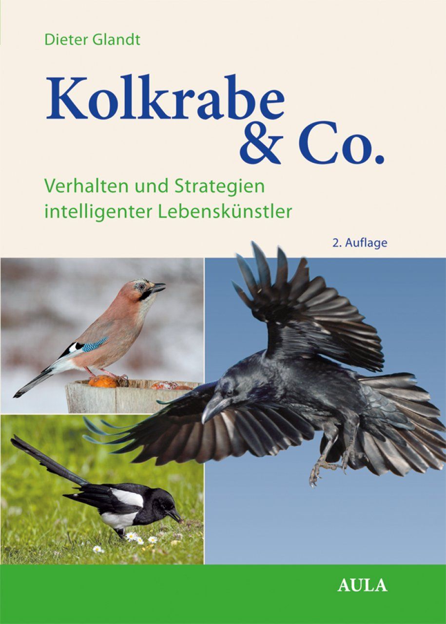 Kolkrabe &amp; Co.: Verhalten und Strategien Intelligenter Lebenskünstler [The Raven &amp; Co.: Raven &amp; Co. Behaviour and Strategies of Intelligent Life Artist]