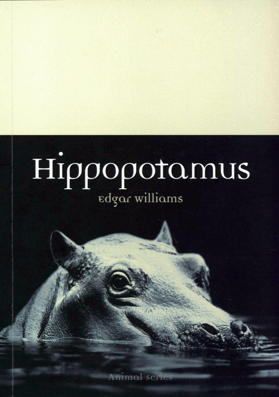 Hippopotamus