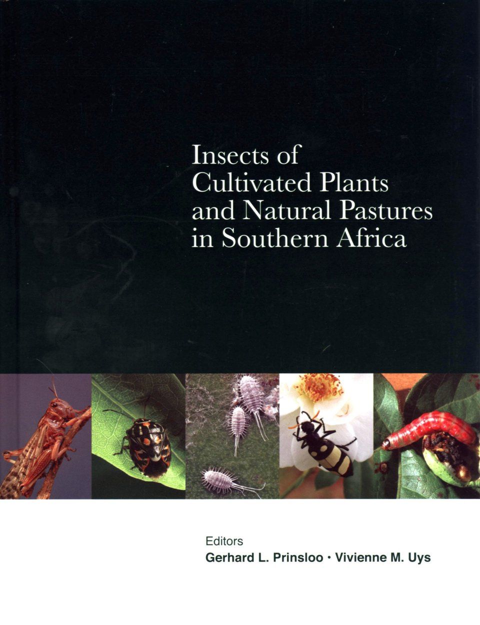 Insects of Cultivated Plants and Natural Pastures in Southern Africa