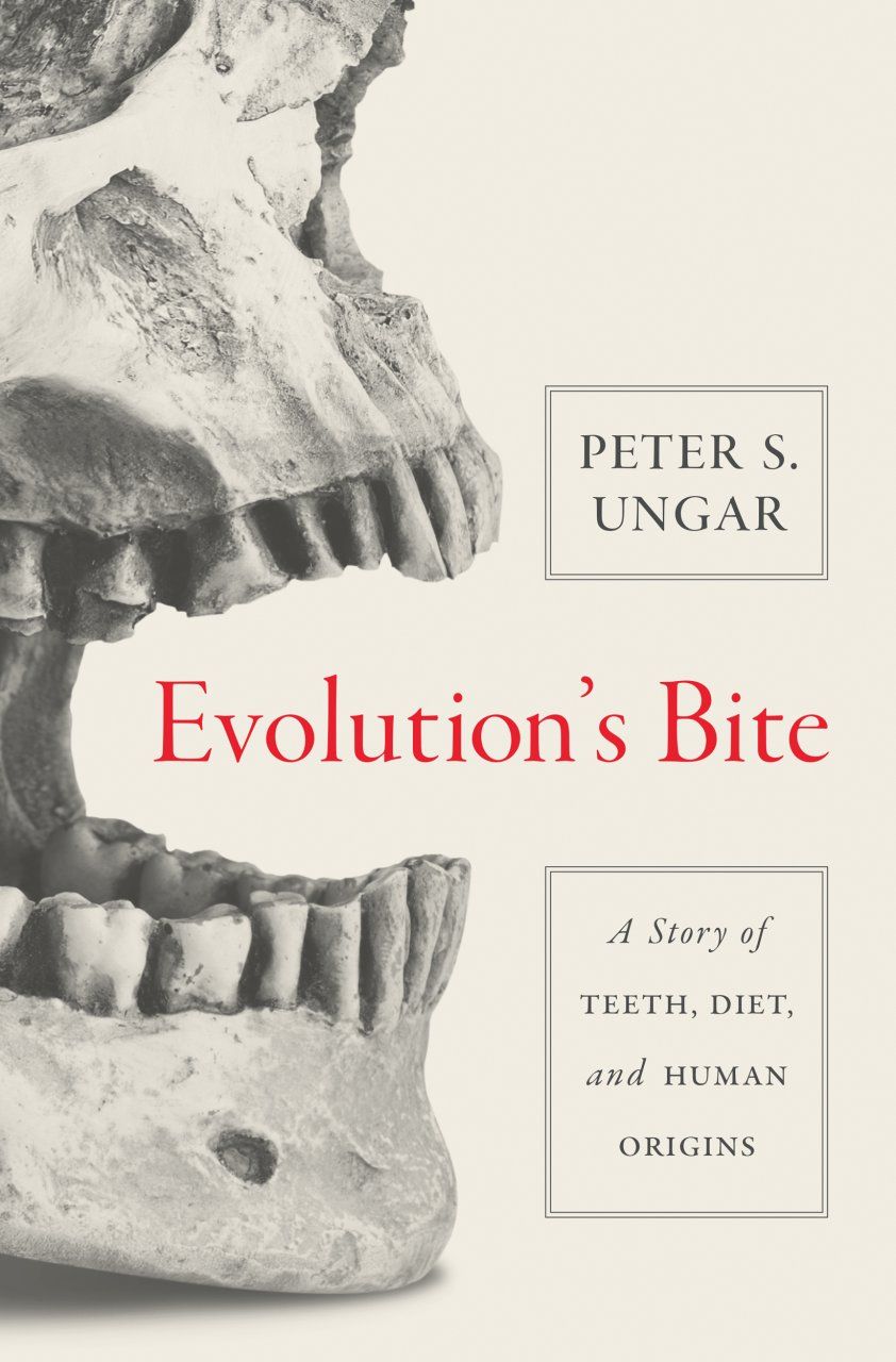 Evolution&#039;s Bite