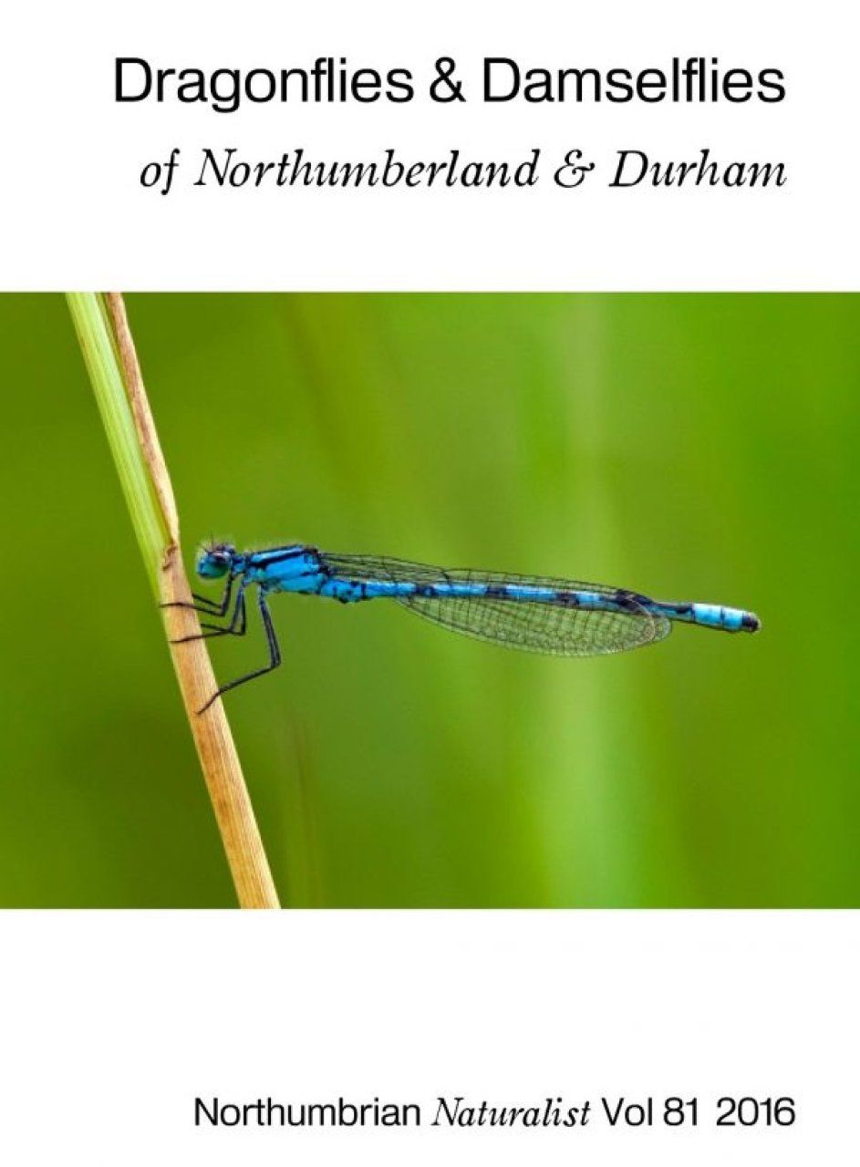 Dragonflies &amp; Damselflies of Northumberland &amp; Durham