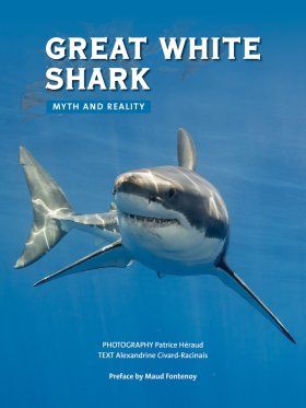 Great White Shark