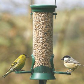 Challenger Seed Feeder