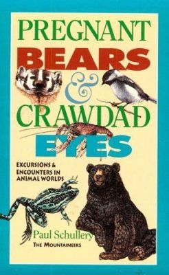 Pregnant Bears and Crawdad Eyes