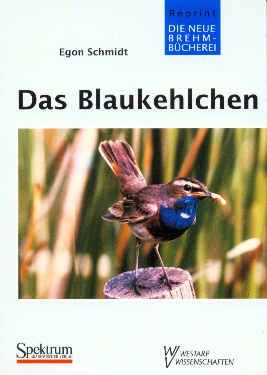 Das Blaukehlchen [The Bluethroat]