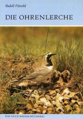 Die Ohrenlerche [The Shorelark]