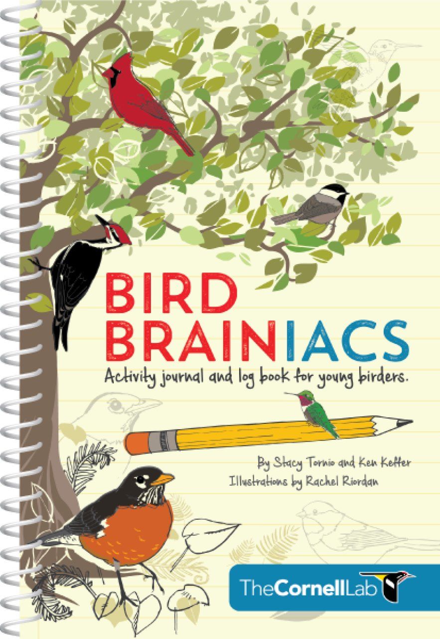 Bird Brainiacs