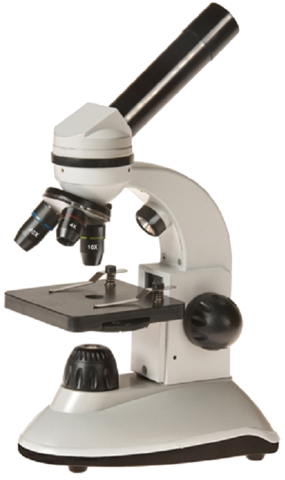 Scholaris-400 Dual LED Microscope
