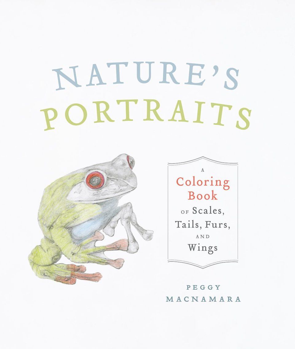 Nature&#039;s Portraits