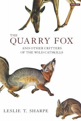 The Quarry Fox
