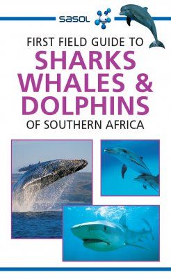 First Field Guide to Sharks, Whales &amp; Dolphins of Southern Africa