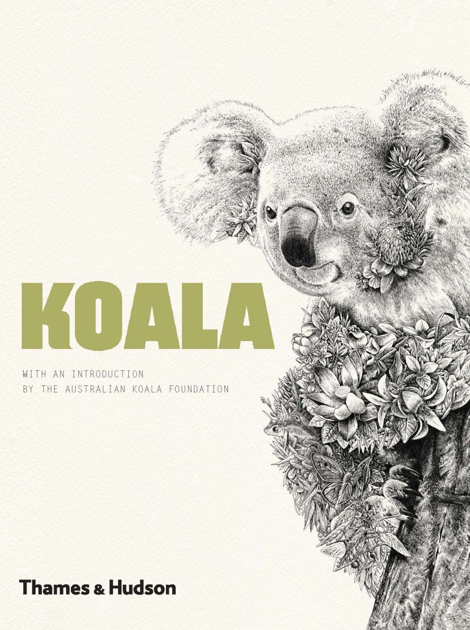 Koala