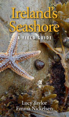 Ireland&#039;s Seashore