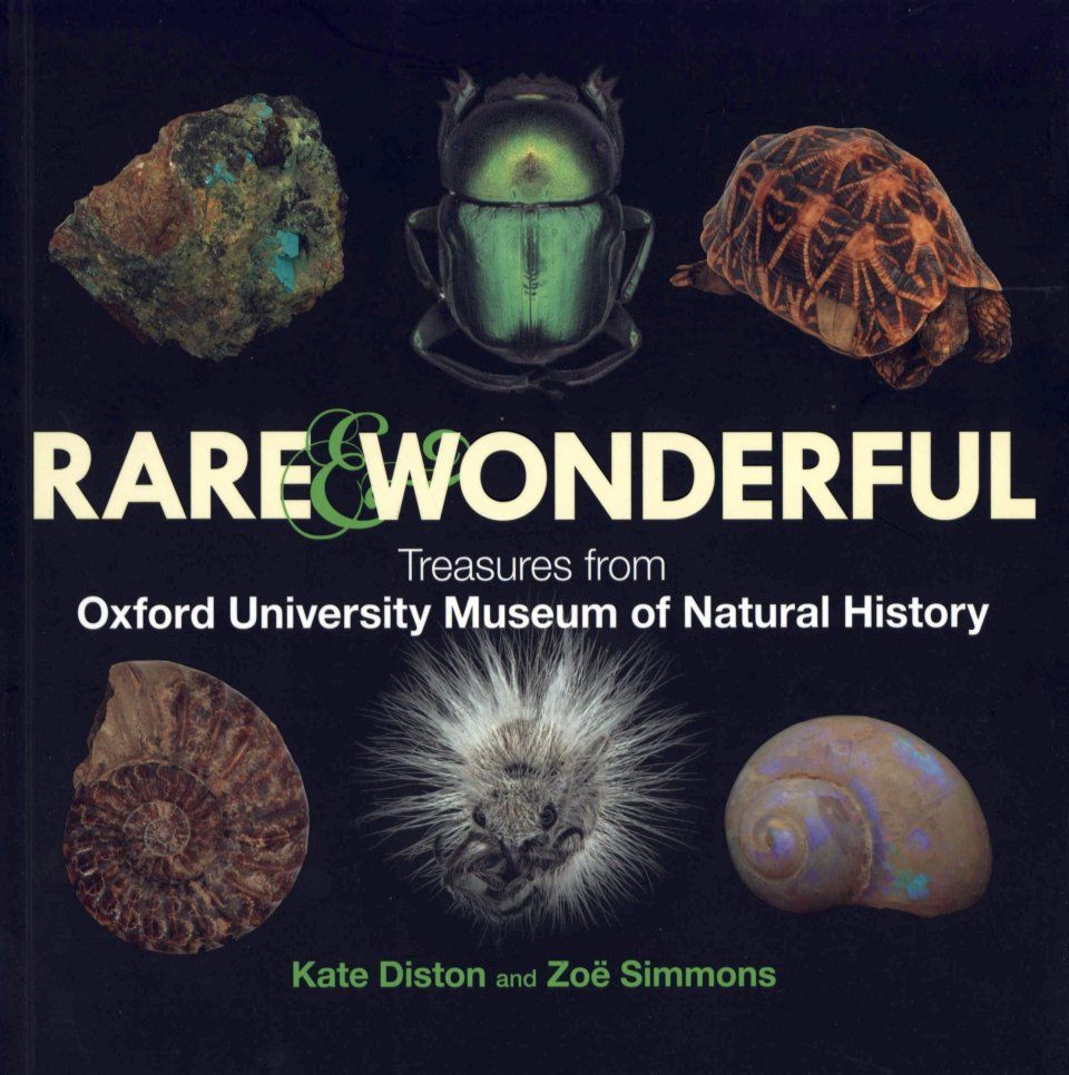Rare &amp; Wonderful