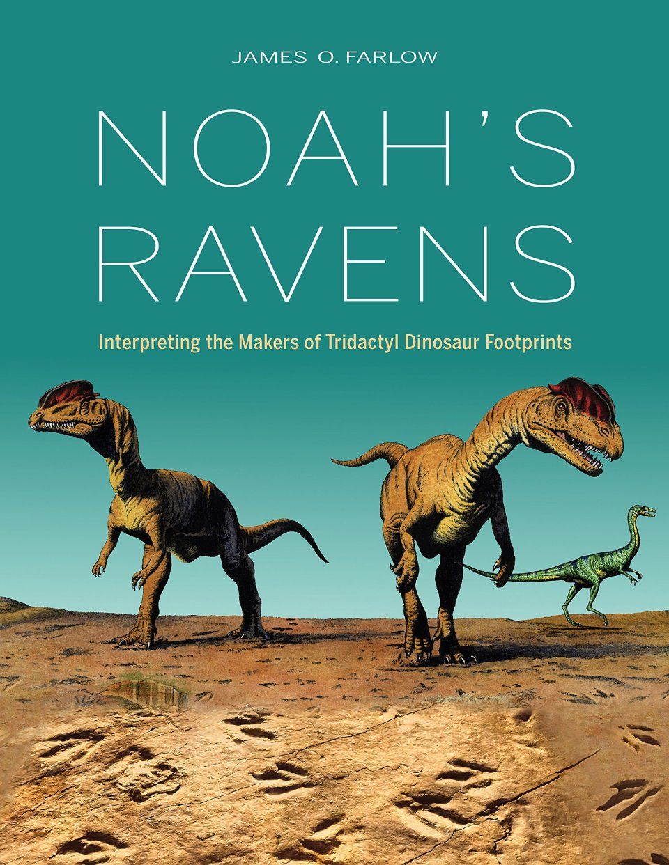 Noah&#039;s Ravens