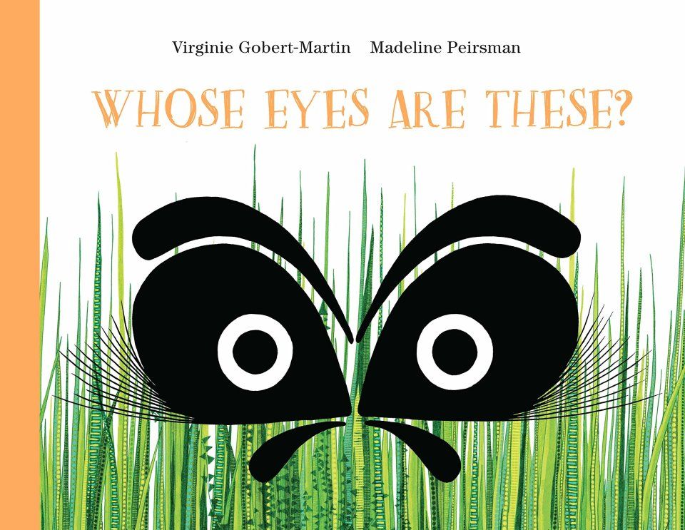 Whose Eyes are These?