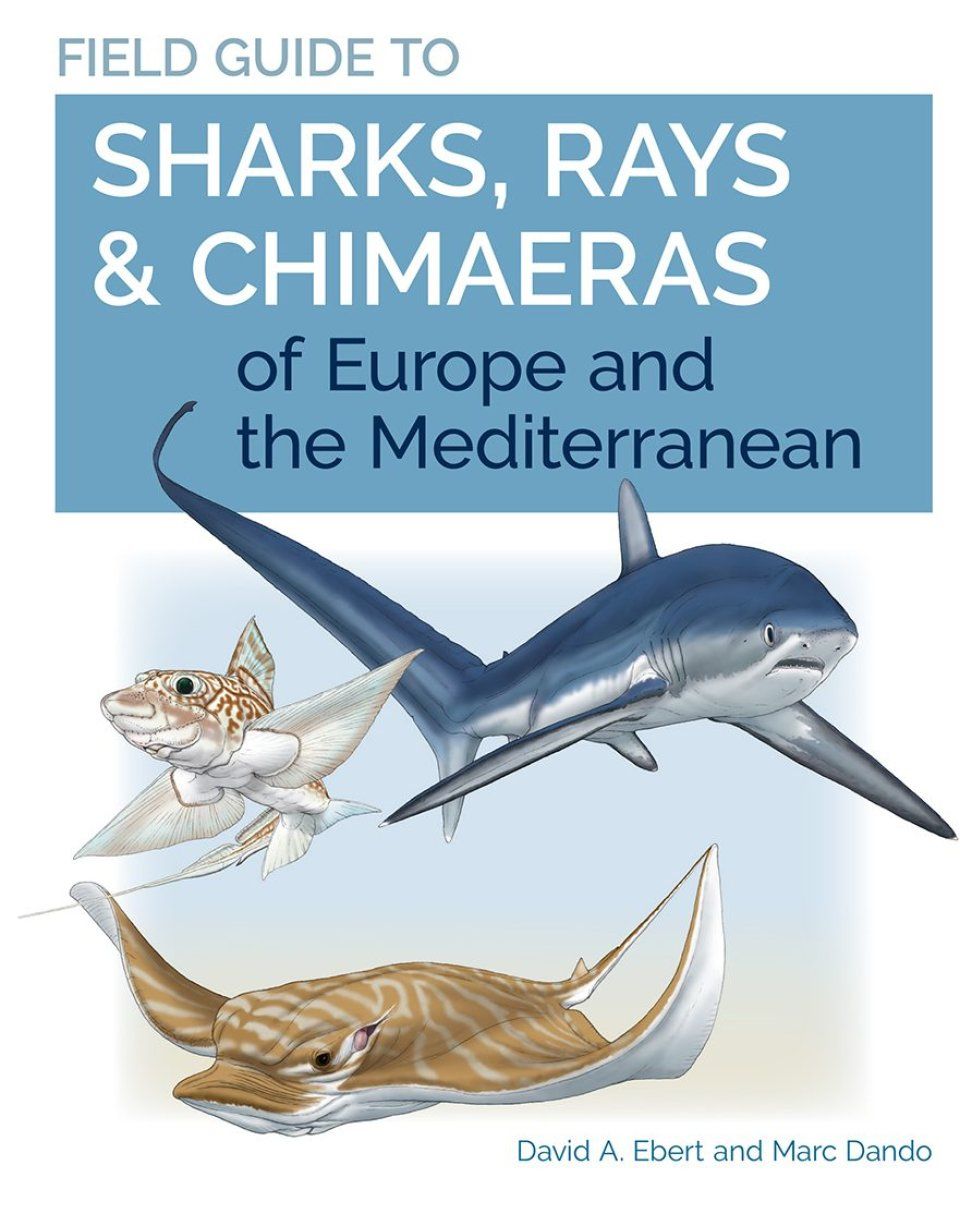 Field Guide to Sharks, Rays &amp; Chimaeras of Europe and the Mediterranean