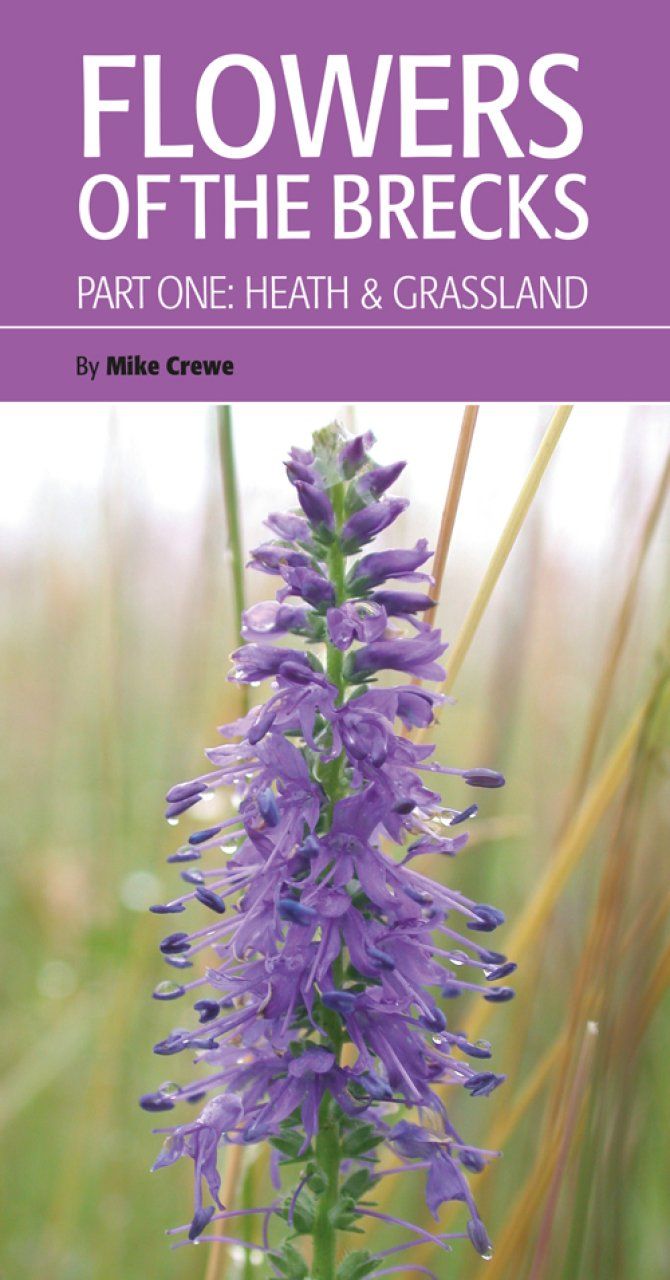 Flowers of the Brecks, Part 1: Heath &amp; Grassland