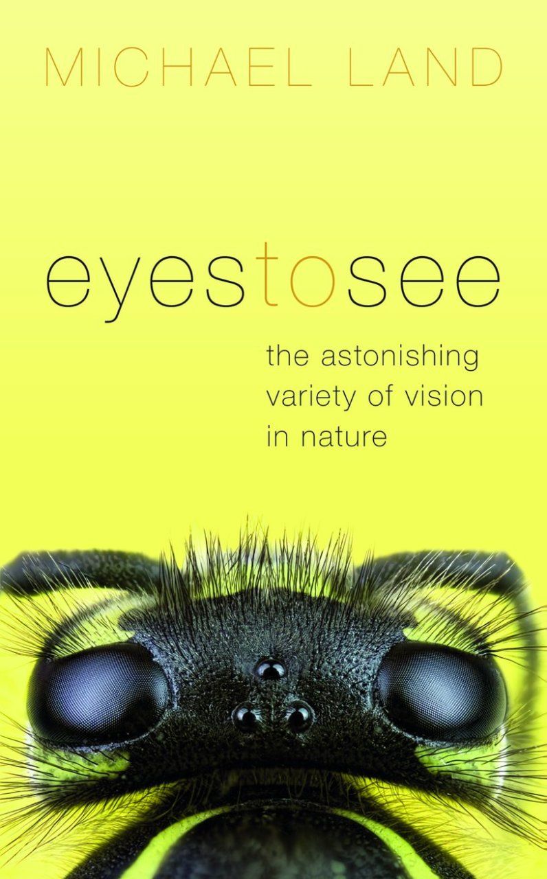 Eyes to See