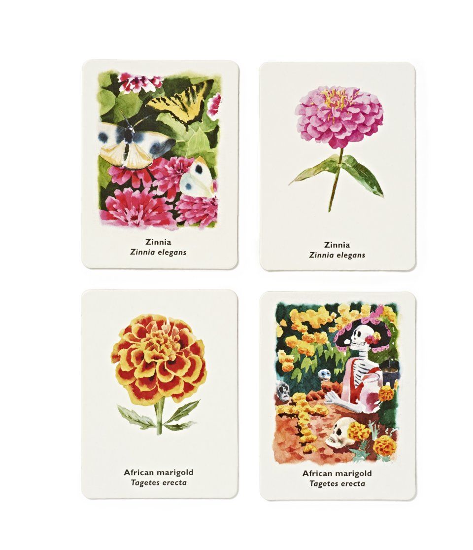Pick a Flower