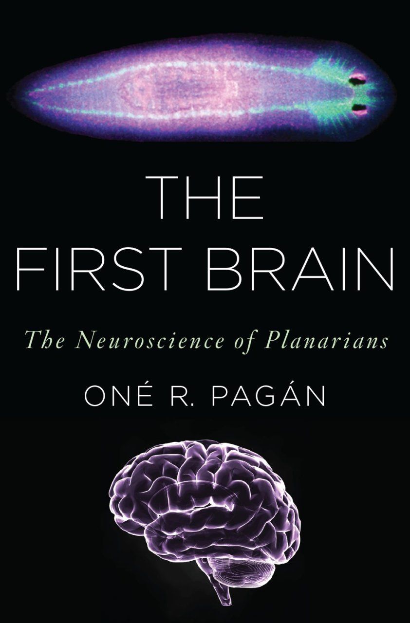 The First Brain