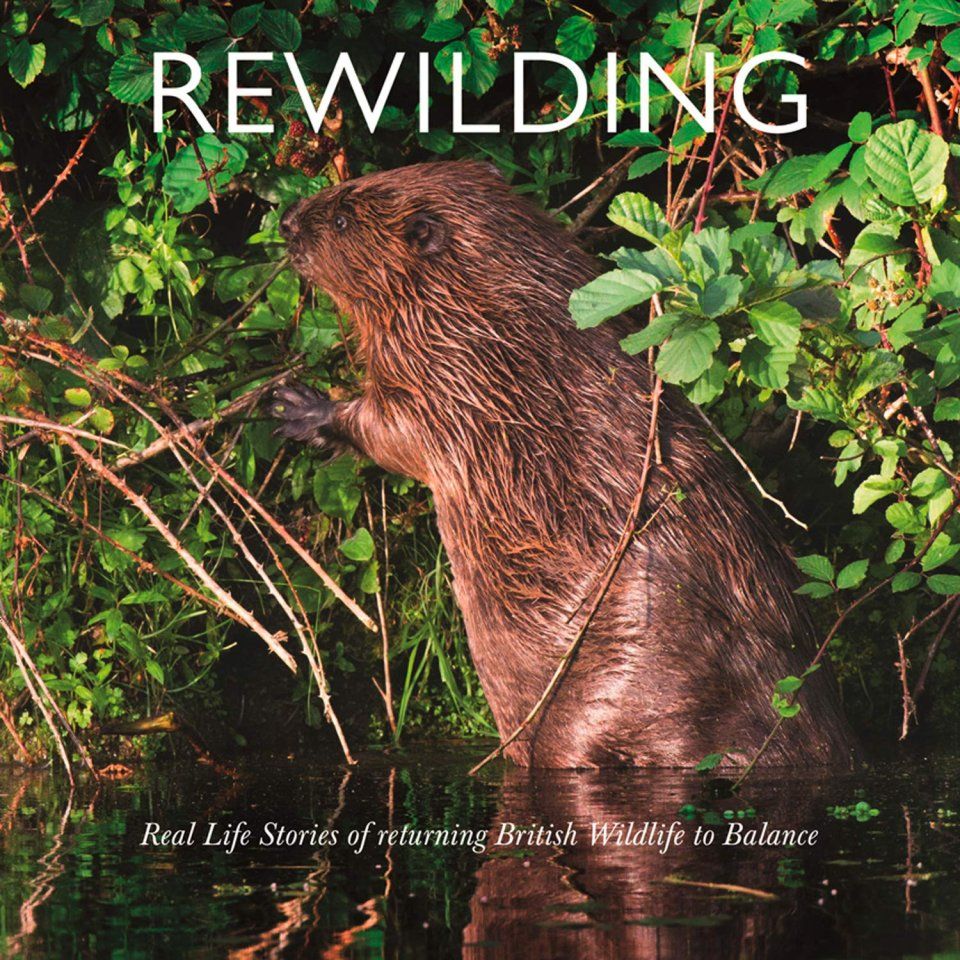 Rewilding