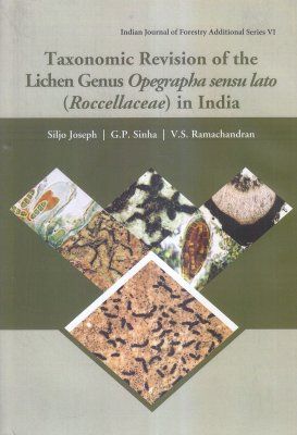 Taxonomic Revision of the Lichen Genus Opegrapha Sensu Lato (Roccellaceae) in India