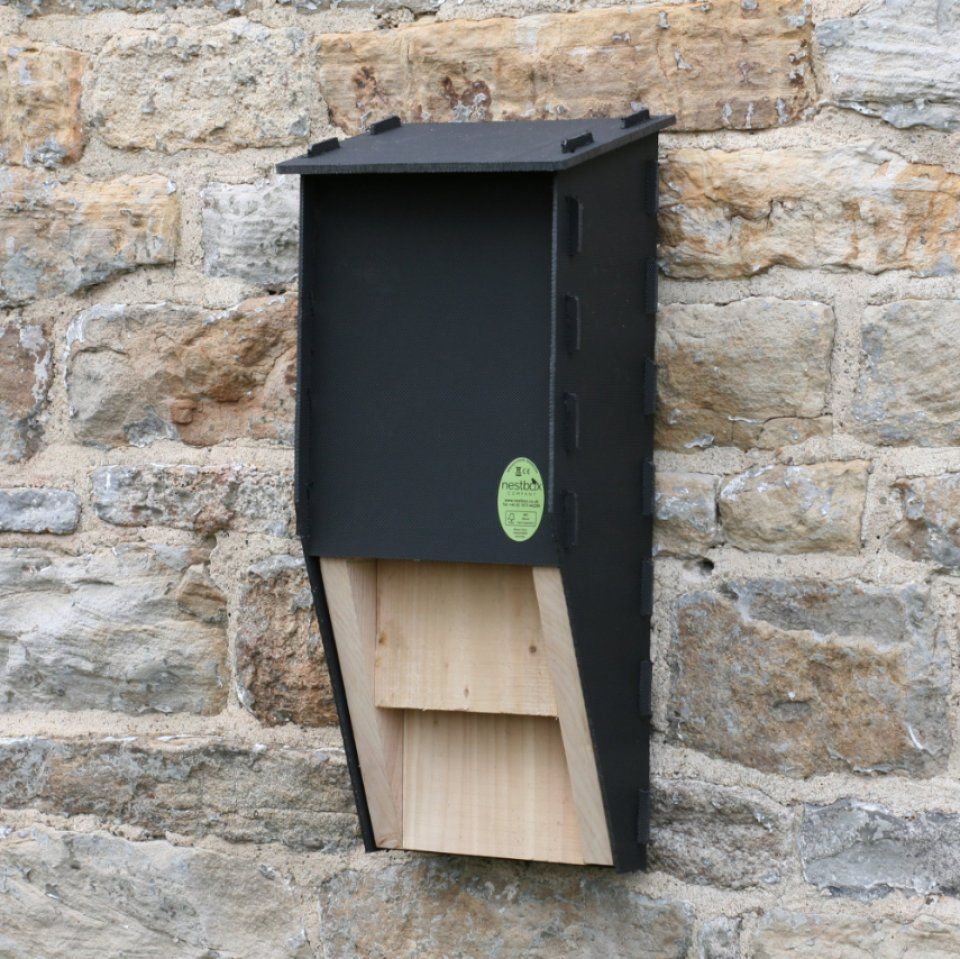 Eco Kent Bat Box