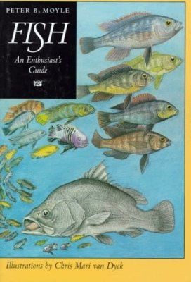 Fish: An Enthusiast&#039;s Guide