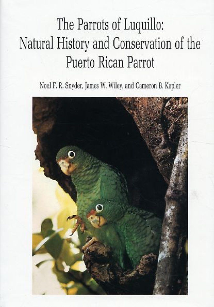 The Parrots of Luquillo
