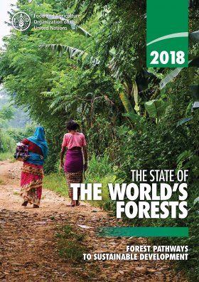 The State of the World&#039;s Forests 2018