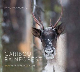 Caribou Rainforest