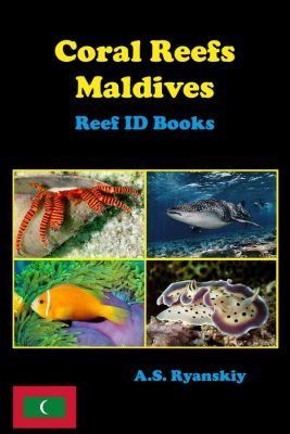 Coral Reefs Maldives