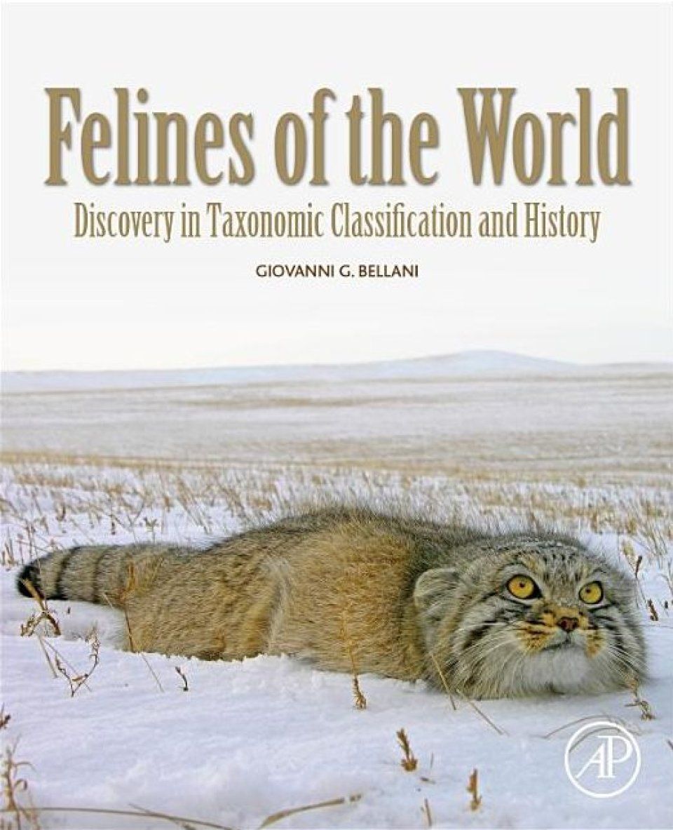 Felines of the World