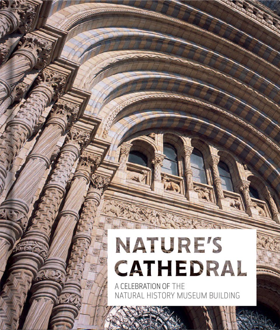 Nature&#039;s Cathedral