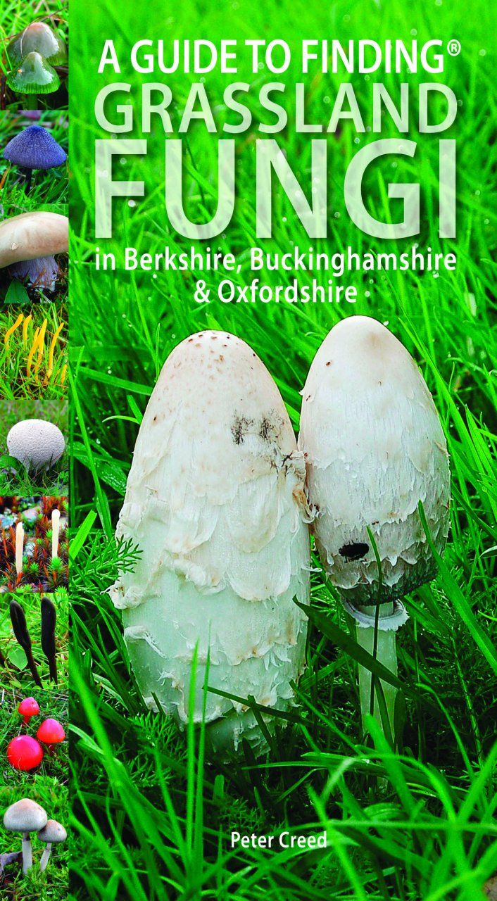 A Guide to Finding Grassland Fungi in Berks, Bucks &amp; Oxon