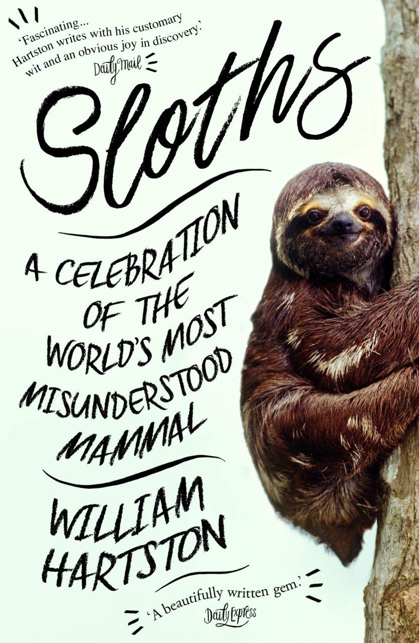 Sloths!