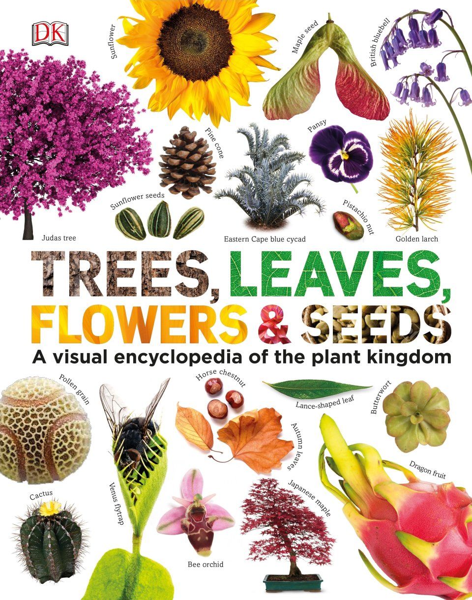 Trees, Leaves, Flowers &amp; Seeds