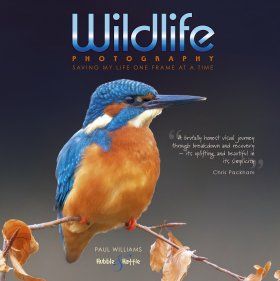Wildlife Photography